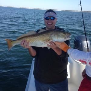 Meet your Posher, Drew